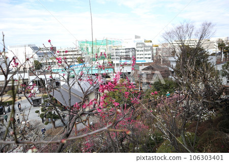 大田區池上梅園 106303401