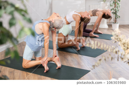 Elderly woman doing yoga in group in studio Elderly woman doing yoga in group in studio 106303980
