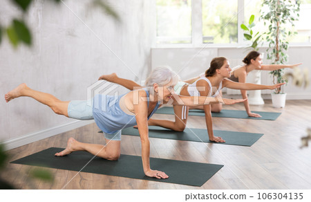 Elderly woman doing pilates in group in studio Elderly woman doing pilates in group in studio 106304135
