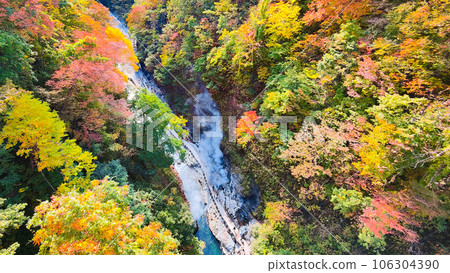 大安峽(秋季) 大安峽(秋季) 106304390