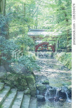 新潟縣彌彥神社的御手洗川 106304474