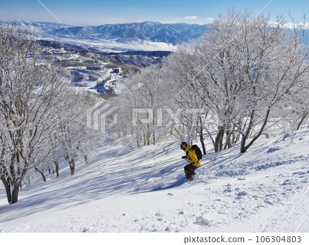 Madarao Kogen ski resort in winter Skiers skiing on the tree run course of River Line Madarao Kogen ski resort in winter Skiers skiing on the tree run course of River Line 106304803