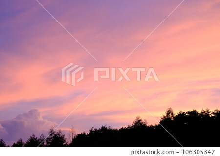 The sunset at an altitude of 1,500 meters, where the Chinese pine forest is dyed blue and pink, the main star is the sunset sky The sunset at an altitude of 1,500 meters, where the Chinese pine forest is dyed blue and pink, the main star is the sunset sky 106305347