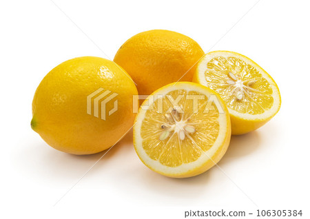 meyer lemon meyer lemon 106305384