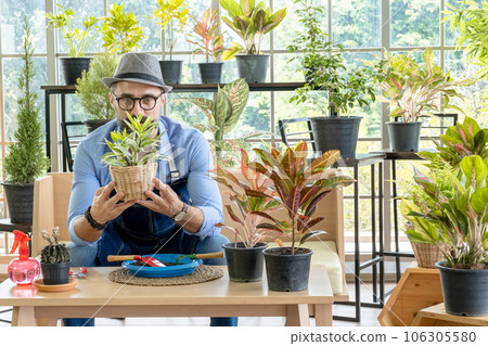 Hipster elderly men take care of the trees, a hobby of urban home gardening after sustainable retirement Hipster elderly men take care of the trees, a hobby of urban home gardening after sustainable retirement 106305580
