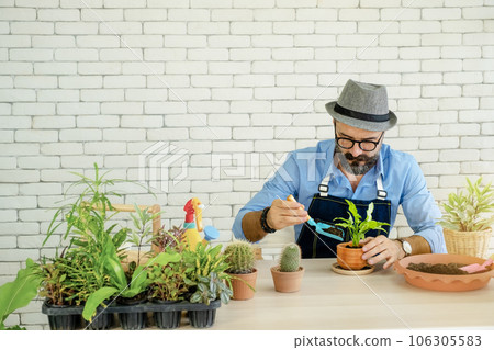 A senior man or grandfather with a mustache enjoys gardening for the tree at home after retirement 106305583