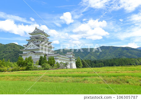 Katsuyama Castle and sunflower field 106305787