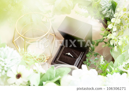 訂婚戒指 訂婚戒指 106306271