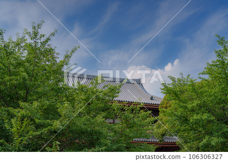 summer tiled roof summer tiled roof 106306327
