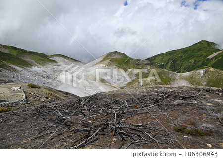 室堂平、立山的風景、立山黑部阿爾卑斯山路線、休閒、旅行、旅遊勝地、風景名勝、絕佳的景色、夏天、室堂、自然 106306943