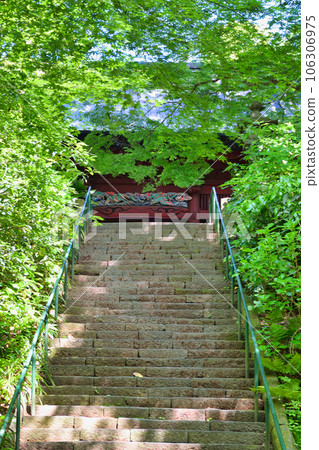 Kamakura Myohonji Temple Fresh green Nitenmon (Omachi, Kamakura City, Kanagawa Prefecture) Kamakura Myohonji Temple Fresh green Nitenmon (Omachi, Kamakura City, Kanagawa Prefecture) 106306975