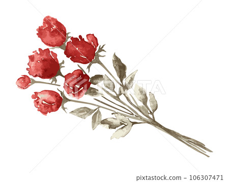 水彩畫幹玫瑰花插畫素材 106307471