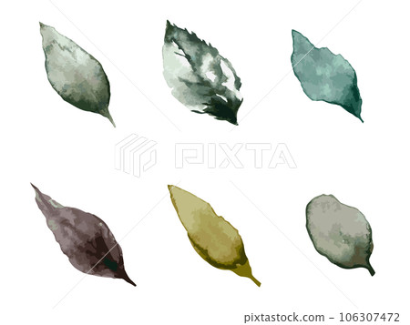Illustration set of leaves in autumn and winter image drawn by watercolor 106307472