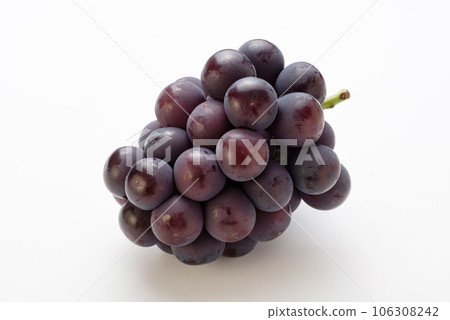 Aurora black 106308242