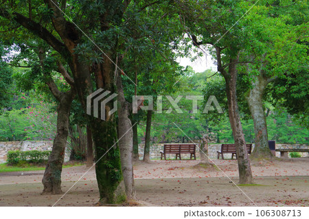 公園的長椅上 106308713