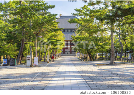 奈良:東大寺南正門至中門的參道 奈良:東大寺南正門至中門的參道 106308823