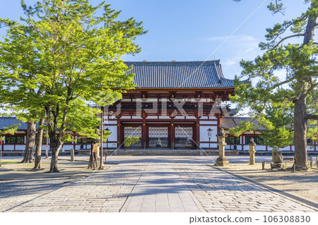 奈良：清晨的東大寺中門 106308830