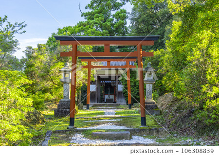 貓台階上供奉的東大寺唐國神社 106308839