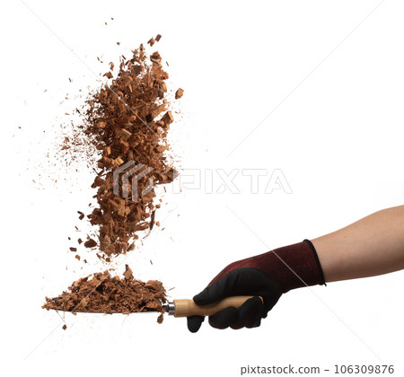 Coconut peel husk flying explosion, coconut chopped medium M size abstract fall down from hand shovel. Coconut shell peel fertilizer splash throwing in Air. White background Isolated high speed 106309876