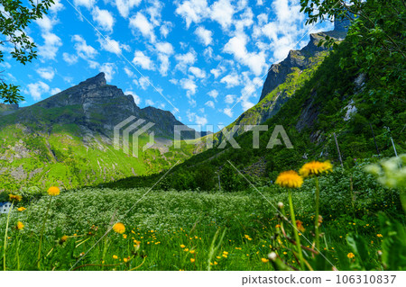Beautiful classic Norwegian summer landscape in the month of July. mighty mountains meadows, sea 106310837