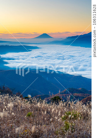 [Mt. Fuji material] Mt. Fuji at dawn and the sea of clouds of Lake Suwa seen from Takabocchi Highland in autumn [Nagano Prefecture] 106311628