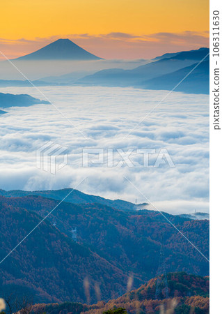 【富士山素材】黎明時分的富士山和秋天從高保地高原看到的諏訪湖雲海【長野縣】 106311630