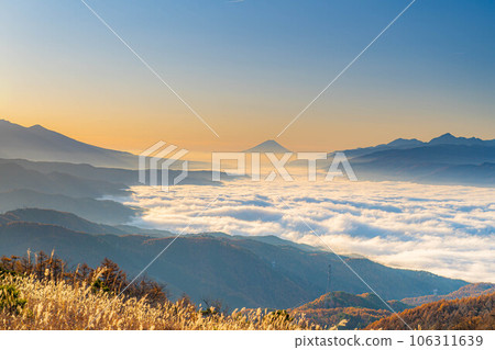 [Mt. Fuji material] Mt. Fuji at dawn and the sea of clouds of Lake Suwa seen from Takabocchi Highland in autumn [Nagano Prefecture] 106311639
