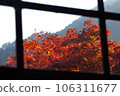 透過玻璃窗的秋葉 106311677