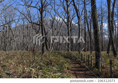 初冬的奧日光徒步小徑 初冬的奧日光徒步小徑 106312073