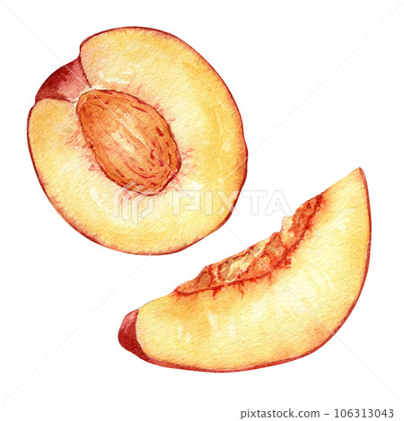 Fresh half red peach watercolor illustration isolated on white. Hand drawn slice, piece orange fruit nectarine. Painting food illustration, design element for package, label Fresh half red peach watercolor illustration isolated on white. Hand drawn slice, piece orange fruit nectarine. Painting food illustration, design element for package, label 106313043