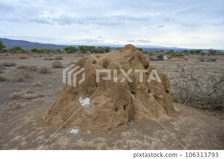 African landscape with termite mound 106313793