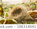 miniature bird nest 106314041