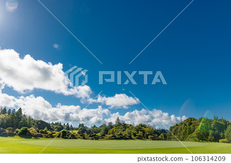 Fresh green and blue sky and clouds Fresh green and blue sky and clouds 106314209