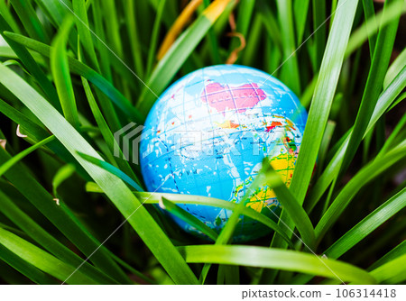 Earth Day Environment on Green Leaves Tree Growth Nature Background, Globe Planet Map in Forest, Concept for Ecology Save Environmental, Ecosystem Recycle Global Climate Co2 Conservation Clean World. Earth Day Environment on Green Leaves Tree Growth Nature Background, Globe Planet Map in Forest, Concept for Ecology Save Environmental, Ecosystem Recycle Global Climate Co2 Conservation Clean World. 106314418