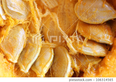 Seeds in a cut pumpkin 106314565