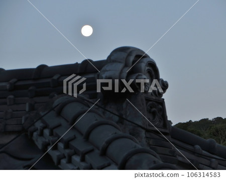 The moon of dawn 106314583