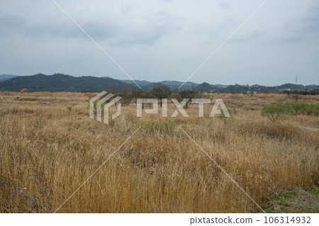 Hampyeongcheon,bicycle path, 106314932