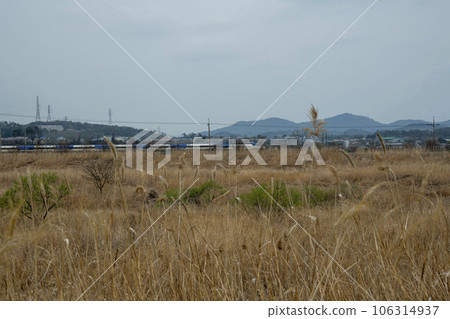 Hampyeongcheon,bicycle path, 106314937