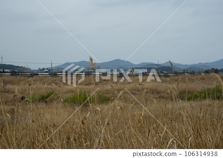 Hampyeongcheon,bicycle path, 106314938