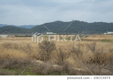 Hampyeongcheon,bicycle path, Hampyeongcheon,bicycle path, 106314974
