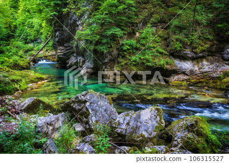 Radovna River Landscape In Slovenia Radovna River Landscape In Slovenia 106315527