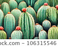 Cactus plant texture background. Generative AI. 106315546