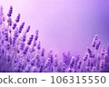 Delicate Lavender flower pattern background. Generative AI. 106315550