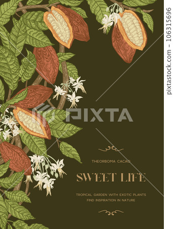 Frame with cocoa plant Frame with cocoa plant 106315696