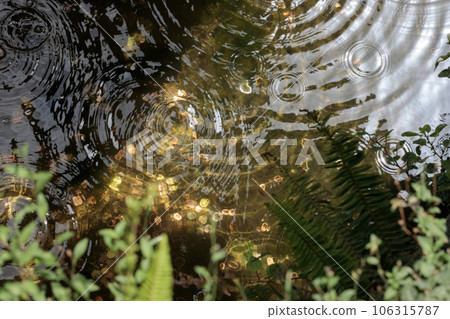 Bird's Eye View of Glistening Coins in Fountain Water Bird's Eye View of Glistening Coins in Fountain Water 106315787