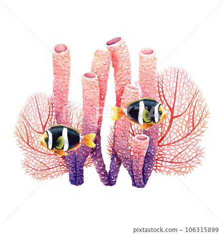 Underwater composition with coral reef plants and exotic fishes. Watercolor illustration isolated on white for clip art, cards, labels 106315899