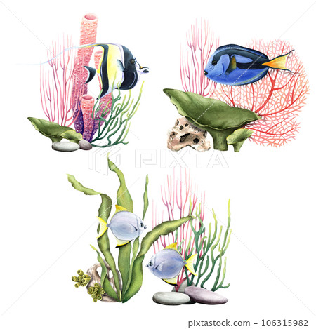 A set of coral reef underwater compositions with corals and fishes. Watercolor illustrations isolated on white for clip art, label, packages 106315982