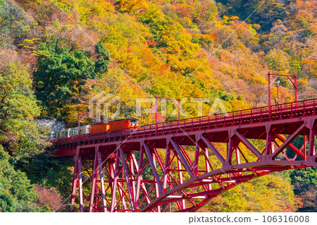 Kurobe Gorge in Autumn: Torokko Train Running on Shinyamabiko Bridge Kurobe Gorge in Autumn: Torokko Train Running on Shinyamabiko Bridge 106316008