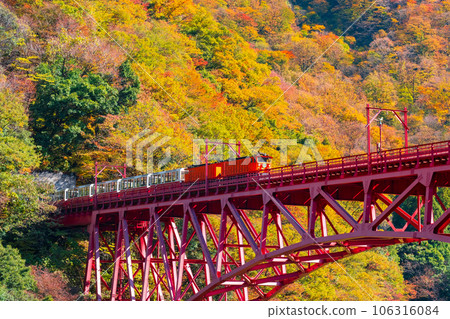 Kurobe Gorge in Autumn: Torokko Train Running on Shinyamabiko Bridge Kurobe Gorge in Autumn: Torokko Train Running on Shinyamabiko Bridge 106316084