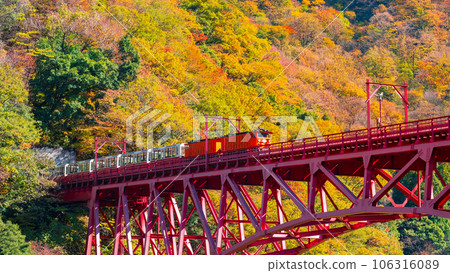 Kurobe Gorge in Autumn: Torokko Train Running on Shinyamabiko Bridge Kurobe Gorge in Autumn: Torokko Train Running on Shinyamabiko Bridge 106316089